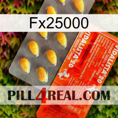 Fx25000 new01
